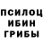 Галлюциногенные грибы Cubensis Selivan