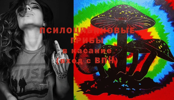 гидропоника Магас